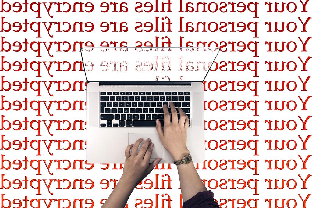 Encryption shield icon